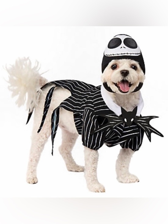 Disney Other - Disney Costume S Dog Jack Skellington